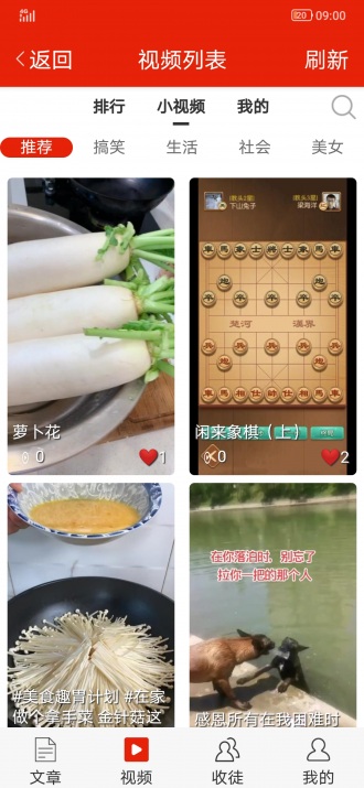 车厘子网