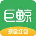 巨鲸看点