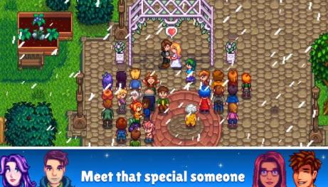 Stardew Valley（星露谷物语1.4.5.144）