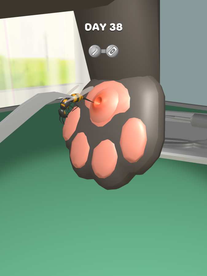 Paw Care（萌宠美容院）