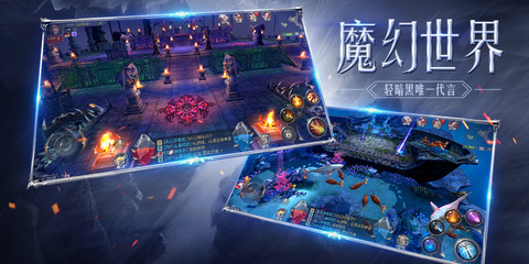 白金汉斯