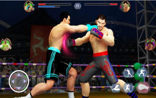 Tag Boxing（拳击明星冠军3D）