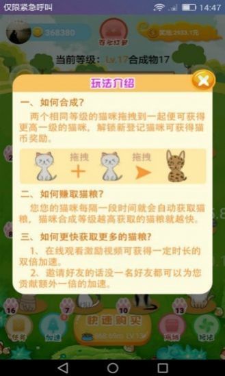 萌猫派对