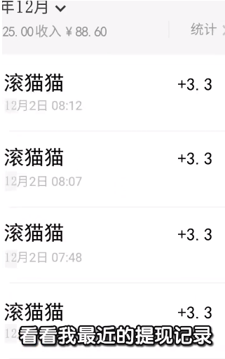 滚猫猫