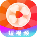 笔芯极速版