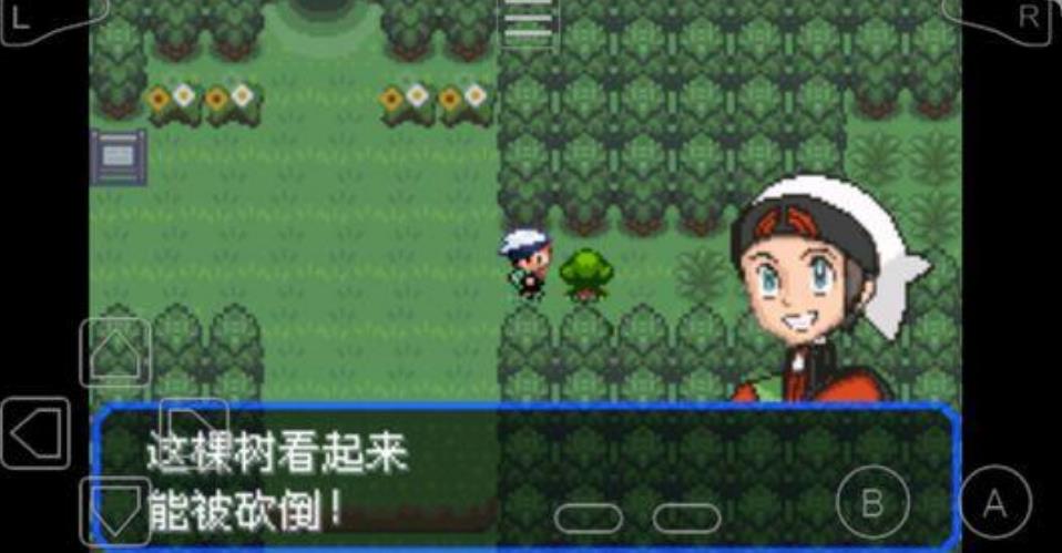 究极绿宝石之黎明的送葬