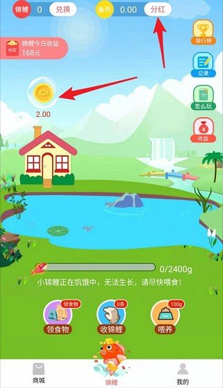 锦鲤星球