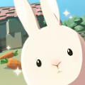 Cuteness2（兔子真是太可爱了2）