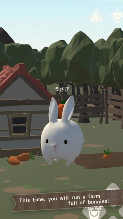 Cuteness2（兔子真是太可爱了2）