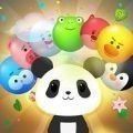 Panda Bubble Puzzle!（熊猫泡泡射击红包版）