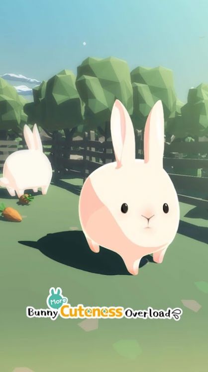 Cuteness2（兔子真是太可爱了2）