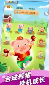 Tiny Pig（猪猪农场）