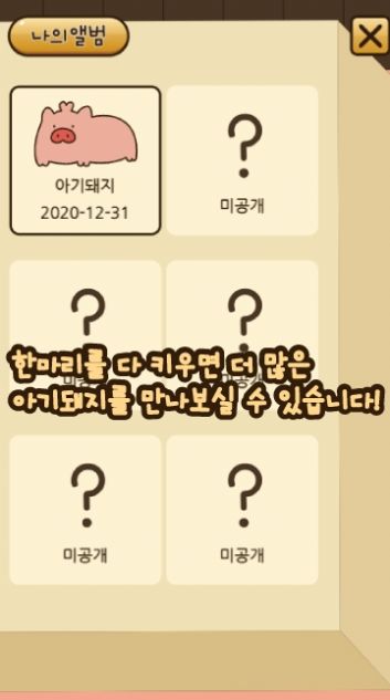 아기돼지키우기（饲养小猪）