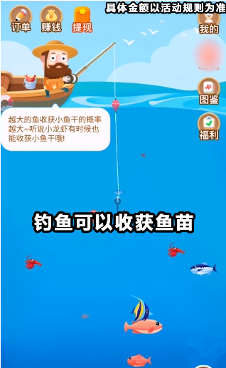 开心鱼塘