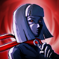 Ninja Shadow（忍者暗影卡格传奇）