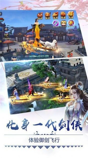 正阳道主