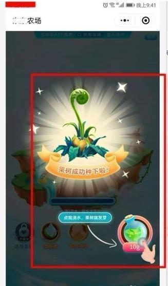 东东农场
