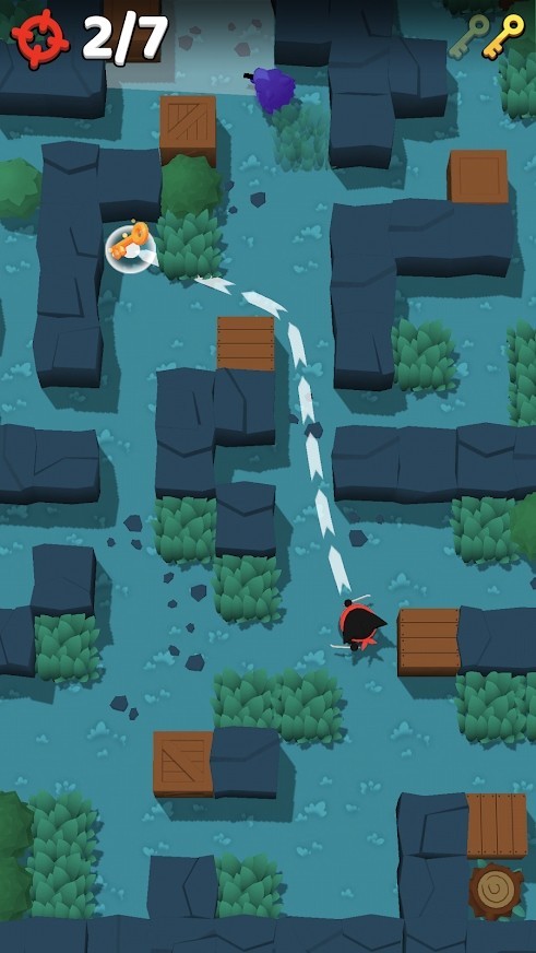 ninja cat assassin（忍者猫刺客）