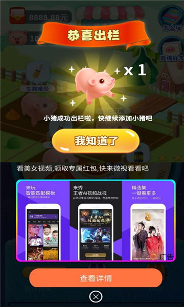 爱上养猪