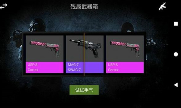 CS:GO Case-Open Simulator(女朋友开箱就是欧模拟器)