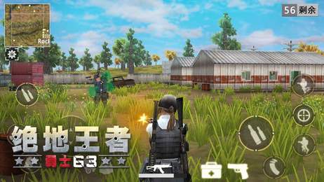 Battle Royale 3D - Warrior63（绝地王者勇士63）