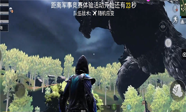 和平精英金刚模式