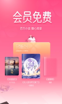 慧斯小说