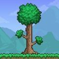 Terraria创意工坊