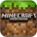 Minecraft（我的世界贝爷MITE极限生存）