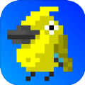 Bird（挺进黑暗森林）
