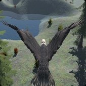 Eagle Run（雄鹰疾驰）