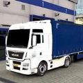 Euro Drinving Truck Simulator 2020