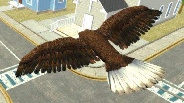 Eagle Run（雄鹰疾驰）