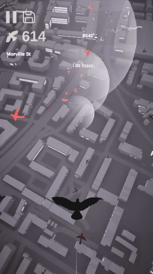 Pigeon: A Love Story（鸽子爱情故事）