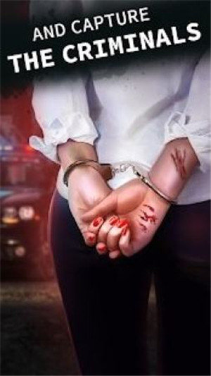 Criminal Stories（选择的侦探）