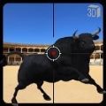 Bull Hunting（狂野的公牛）