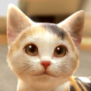 withMyCAT（与我的猫咪）