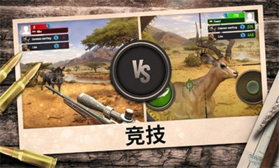 hunting clash（狩猎冲突)