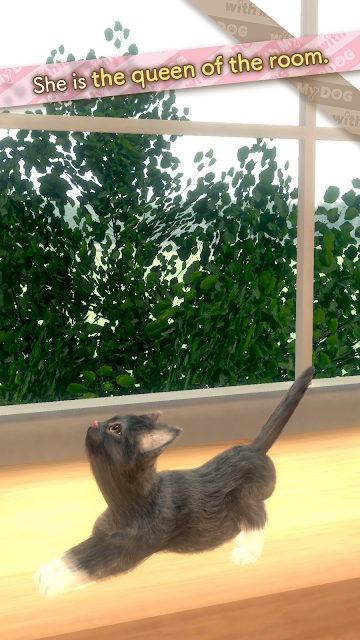 withMyCAT（与我的猫咪）