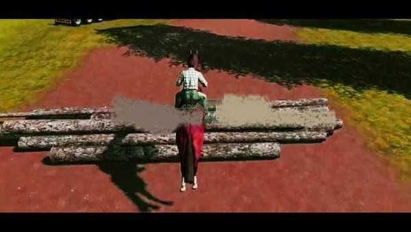 Horse Race Games（牛仔跑马模拟）