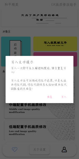 DX画质大师