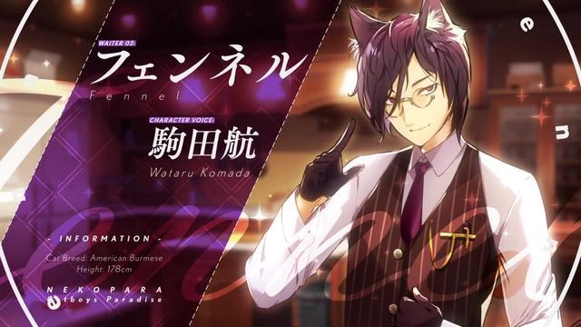 猫郎乐园