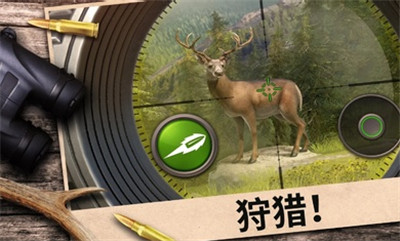 hunting clash（狩猎冲突)