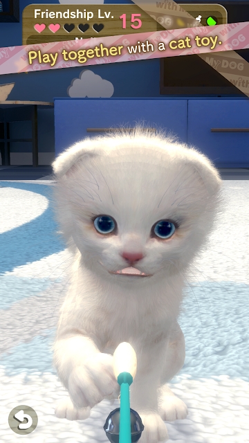 withMyCAT（与我的猫咪）