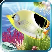 coralReef（珊瑚礁模拟器）