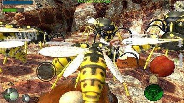 Bee Simulator（大黄蜂进化史）