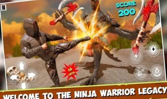 Ninja shadow warrior（忍者格斗武士）