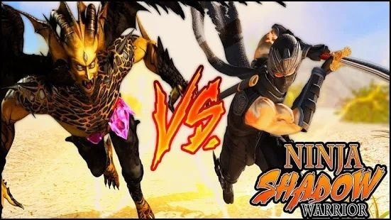 Ninja shadow warrior（忍者格斗武士）