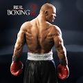 Real Boxing 2（傲慢的拳击）
