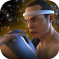 Muay Thai - Fighting Clash（泰拳2格斗冲突）